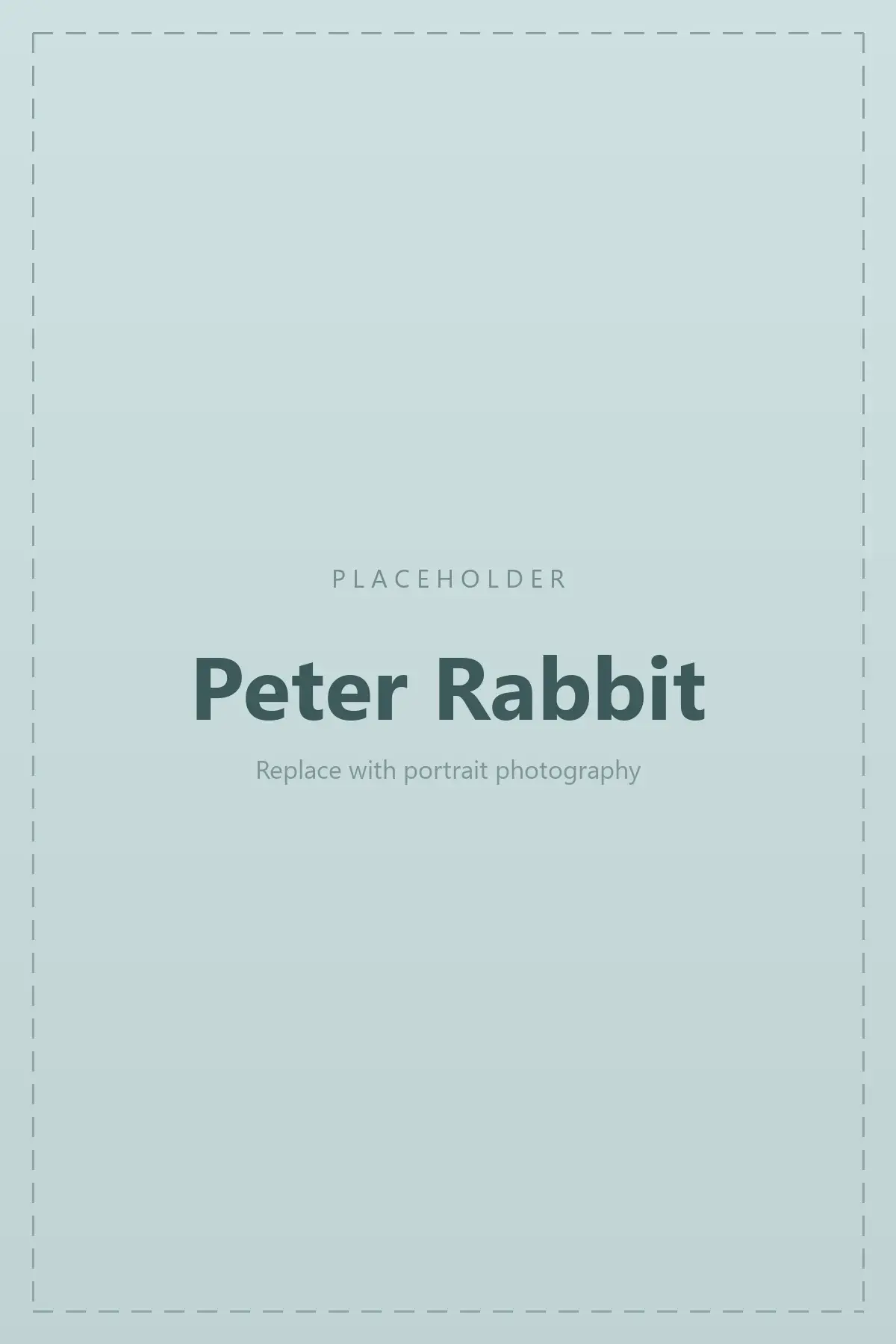 Peter Rabbit themed birthday backdrop with balloons, character cut-outs and a personalised name sign